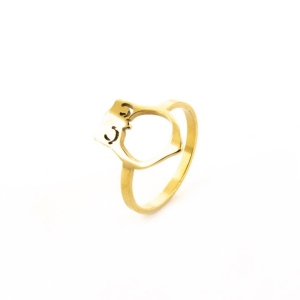 ANEL CORUJA SEMIJOIA OURO AMARELO