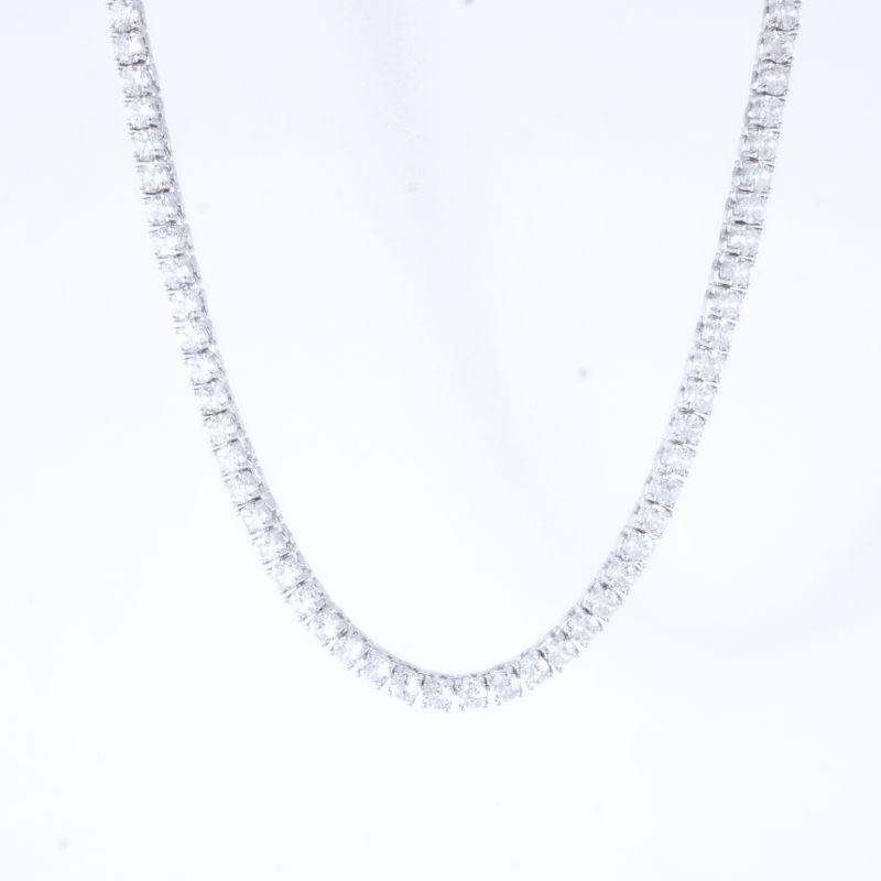 COLAR RIVIERA 4 GARRAS RÓDIO 40CM