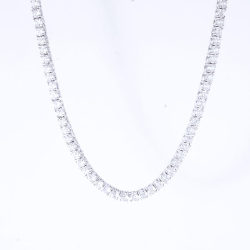 COLAR RIVIERA 4 GARRAS RÓDIO 40CM